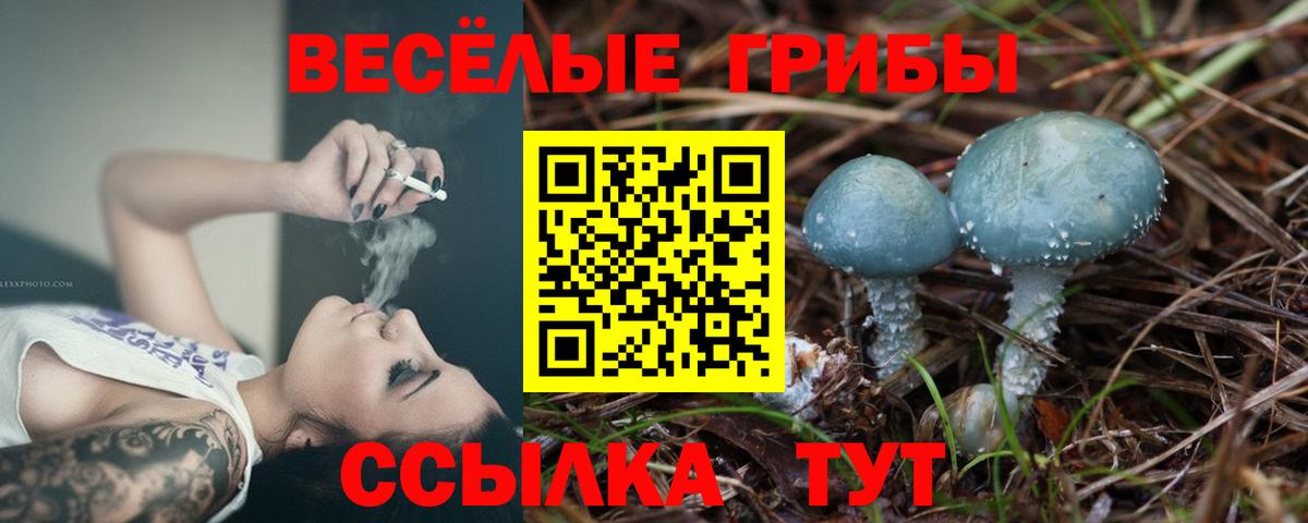 Псилоцибиновые грибы GOLDEN TEACHER Шелехов