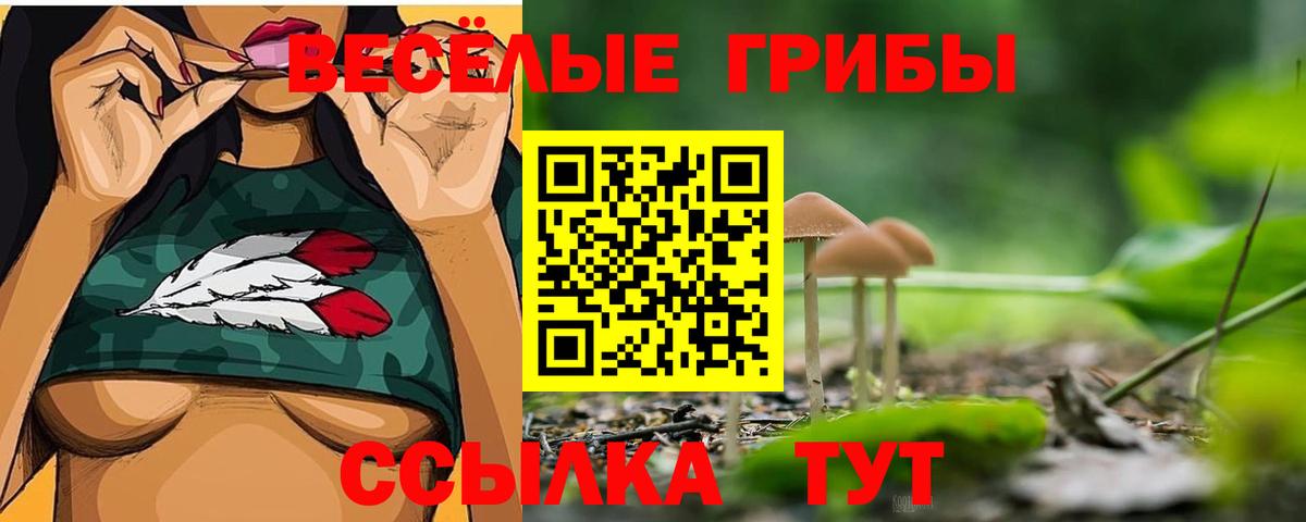 Шелехов  Псилоцибиновые грибы Psilocybine cubensis  купить   Вход с VPN 