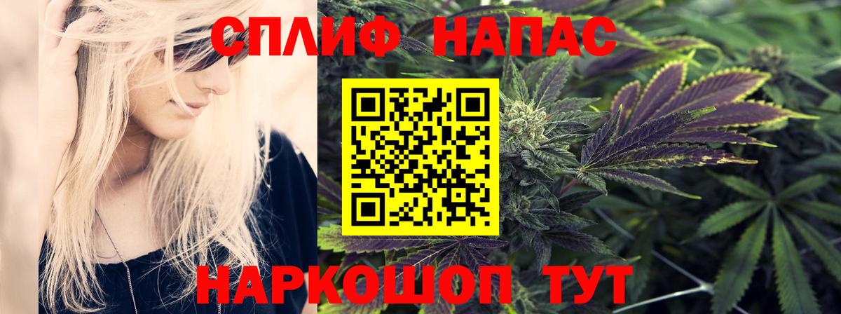 Меф Шелехов